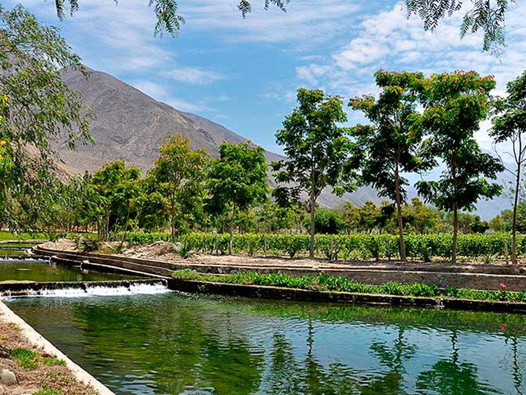 Guizado Portillo Hacienda & Resort Lunahuaná Eksteriør billede