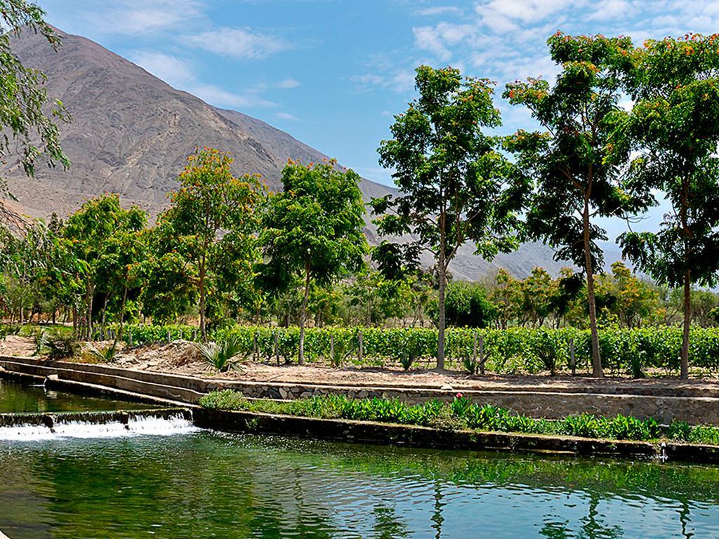 Guizado Portillo Hacienda & Resort Lunahuaná Eksteriør billede
